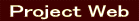  Project Web  